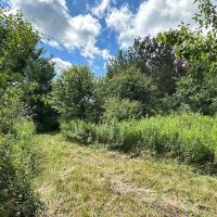 13 acres Hunting Land with Camper in Scio NY 3259 Knights Creek Rd images 4