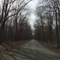 2,199 acres - Blackiston Wildlife WMA for Deer hunting in Kent, DE