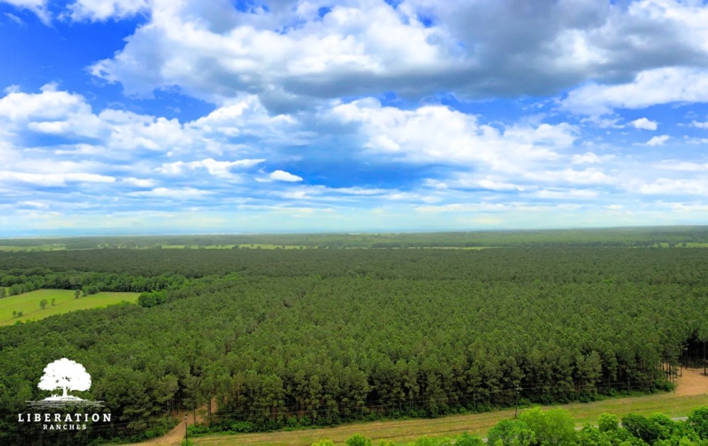 Hull Tract 2 11 Acres Only 15K Down featured image
