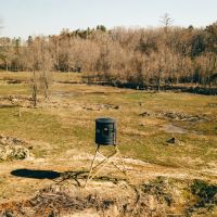 836 Acres with a Cabin in Webster County MS