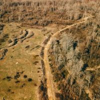 836 Acres with a Cabin in Webster County MS images 3