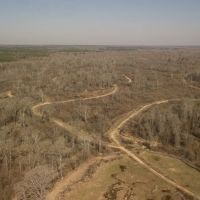 836 Acres with a Cabin in Webster County MS images 4