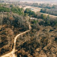 836 Acres with a Cabin in Webster County MS images 5