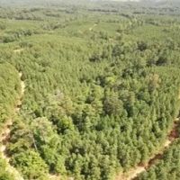 76 Acres in Grenada County in Grenada MS images 3