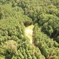 76 Acres in Grenada County in Grenada MS images 4