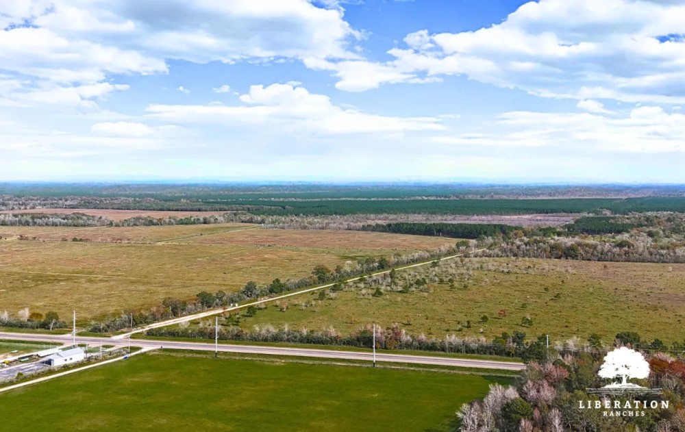 Sour Lake Tract 2 10 Acres Only 15K Down featured image