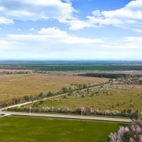 Sour Lake Tract 2 10 Acres Only 15K Down