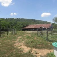 140 ac hunting Agricultural Property