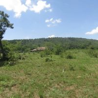 140 ac hunting Agricultural Property images 5