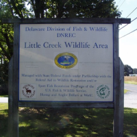 Little Creek WMA - 4,721 acres Deer hunting land in Kent, DE