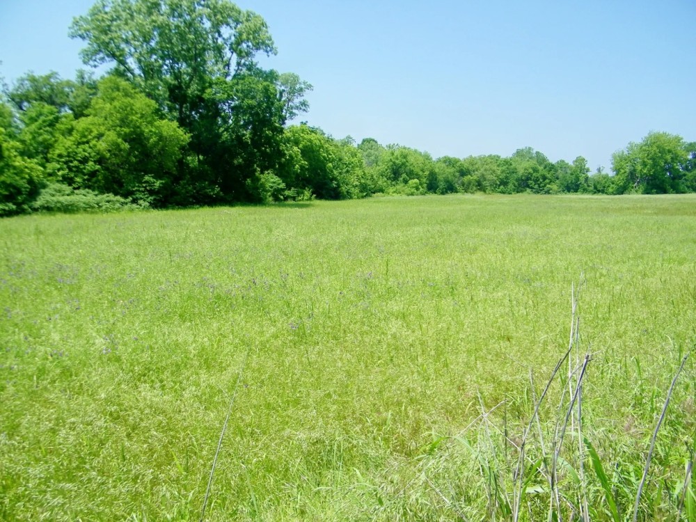 Highway Frontage 28 Acre Pasture featured image