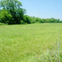 Highway Frontage 28 Acre Pasture