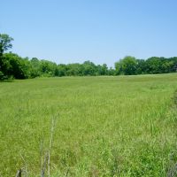 Highway Frontage 28 Acre Pasture images 2