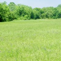 Highway Frontage 28 Acre Pasture images 3