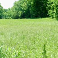 Highway Frontage 28 Acre Pasture images 4