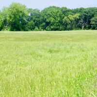 Highway Frontage 28 Acre Pasture images 5