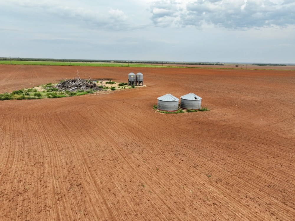 Farrington Farm featured image