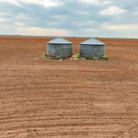 Farrington Farm images 3