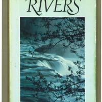River Front Cabin on 67 Acres Jackson County WI images 3