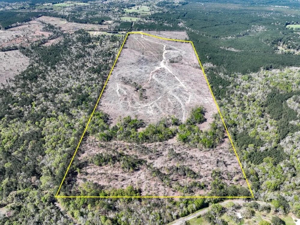143 Acres County Road 443 featured image