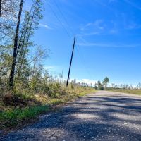 143 Acres County Road 443 images 2