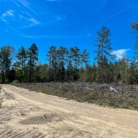143 Acres County Road 443 images 3
