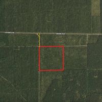Town of Rome 40 acre timber lot for sale in Adams County WI images 2