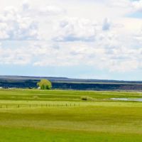 Lava Lake Home Ranch images 5