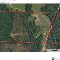 Pickens County 80 Ac Water Mill Rd images 2