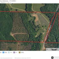 Pickens County 80 Ac Water Mill Rd images 3