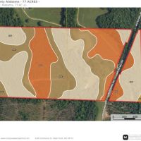 Pickens County 80 Ac Water Mill Rd images 5