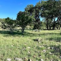 Franks Ranch images 2