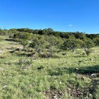Franks Ranch images 3