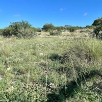 Franks Ranch images 4