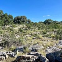 Franks Ranch images 5