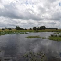 RECREATION RANCH ACREAGE IN ATOKA CO. OK. images 2
