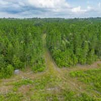 199 Acres of Country Bliss Prime Land in White Oak GA images 2