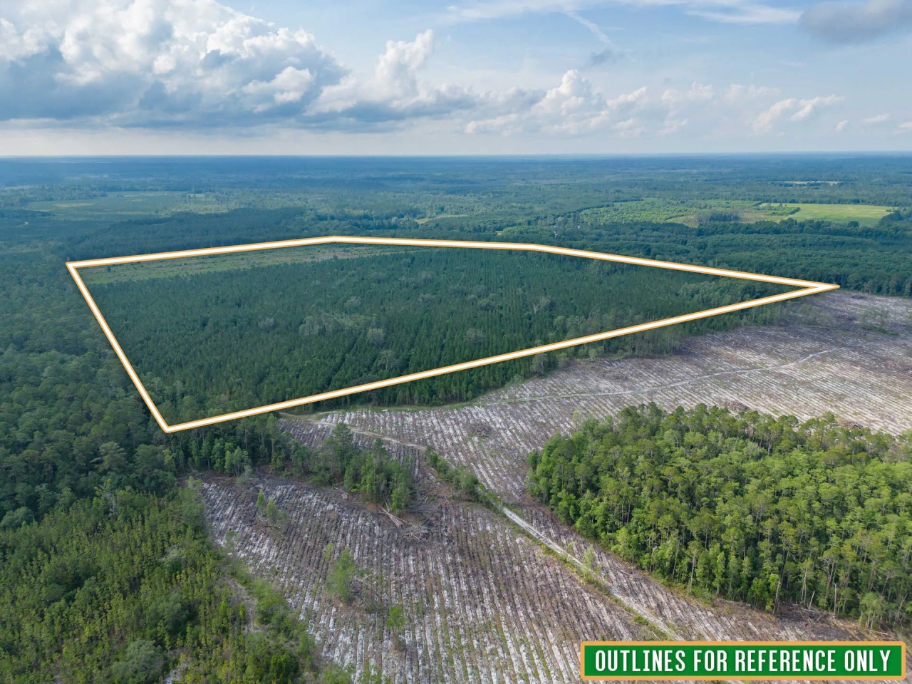 199 Acres of Country Bliss Prime Land in White Oak GA Hunting Land