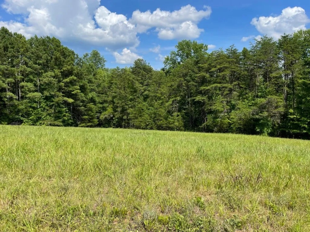 - 8.27 Acres on Woodall Mountain Road in Pickens SC featured image