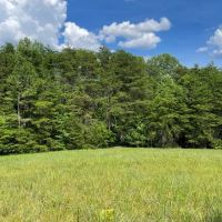- 8.27 Acres on Woodall Mountain Road in Pickens SC images 2