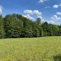 - 8.27 Acres on Woodall Mountain Road in Pickens SC images 3