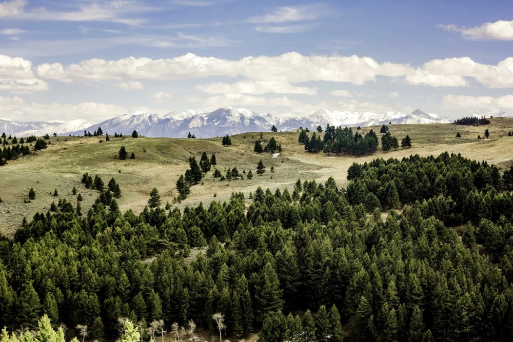 Livingston Montana Ranchettes featured image