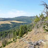 Livingston Montana Ranchettes images 2