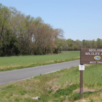 Midlands WMA - 4,083 acres Deer & Waterfowl hunting land in Sussex, DE