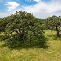 Prochnow Branch Ranch