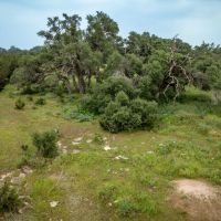 Prochnow Branch Ranch images 4
