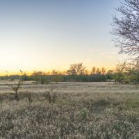 310 Acres In SE Oklahoma images 4
