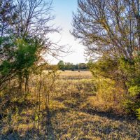 310 Acres In SE Oklahoma images 5