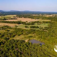 20-Acre Tract on Cravens Road Your Ideal Rural Retreat images 4