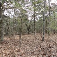 310 ACRES OF SECLUDED RECREATIONAL LAND images 5